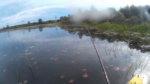 Ловля змееголова Кубок вызова 2016 Хабаровск