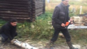 Бензопила Штиль в деле. Stihl MS 180C