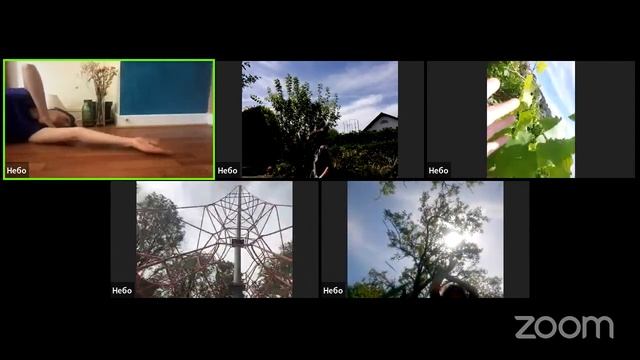 Dance with Ukraine - n°533 - Odyn v kanoe смотреть онлайн