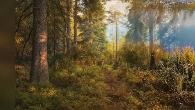 Татьяна. Финляндия. Не жизнь, а сплошное болото!