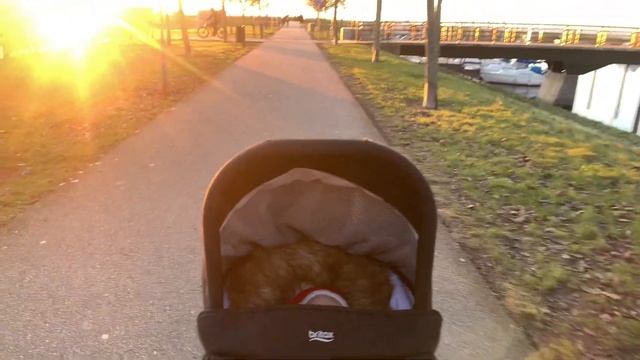 Дэниелу 2 месяца ?? В декрете в Швеции ? Семейный влог ? Будни мамы ? Лухари бранч с подружками смотреть онлайн