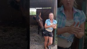 Лошадь дома. Мечта сбылась, что дальше?