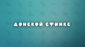 Породы кошек | развивающее видео для детей | карточки Домана