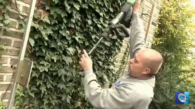Что делать, если есть трещины в доме: Https://georesin.ru/