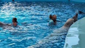 Какое удовольствие плавать вместе с дельфинами.