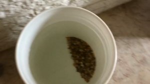 Простой сбор дождевой воды для питья.