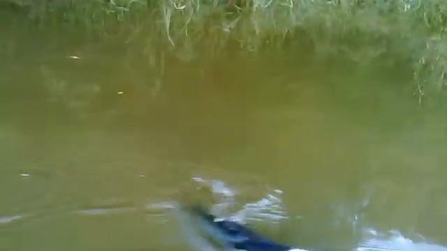 2011.08.13 Лесной лагерь 68 Катаемся на лодке по Самаре.mp4 смотреть онлайн