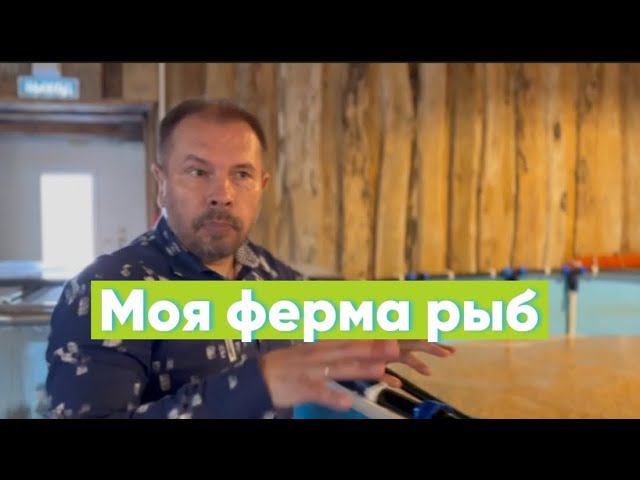 Обзор моей небольшой аквафермы