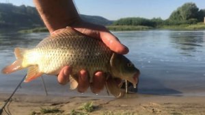 Отличная РЫБАЛКА НА ОКЕ. Влетел САЗАН! ЛОВЛЯ КАРАСЯ. Рыбалка на фидер. Рыбалка в Нижнем Новгороде