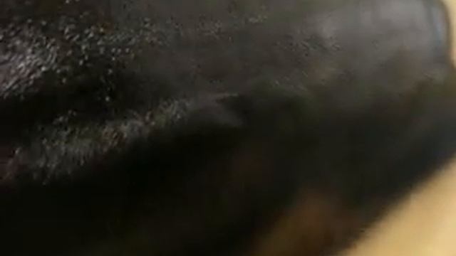 Антикор для днища Terotex 2000HS 1 смотреть онлайн