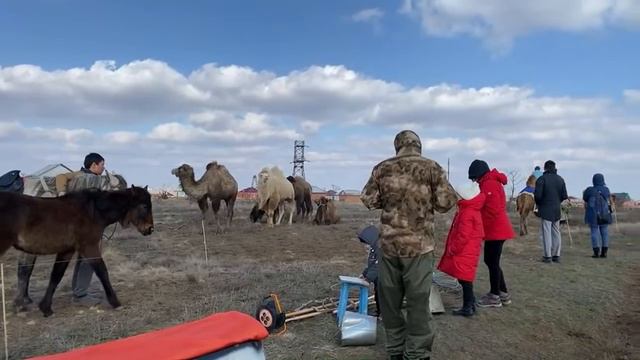 Верблюжий остров на природе.Активный отдых
