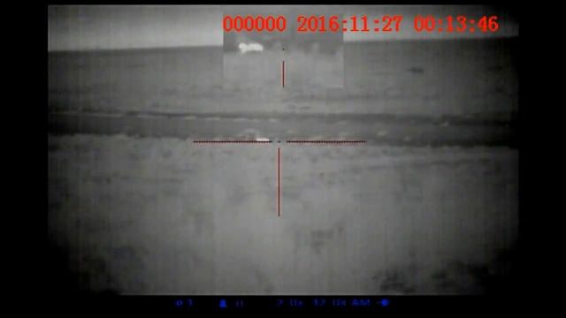 Отстрел шакалов Pulsar Apex XD50 смотреть онлайн