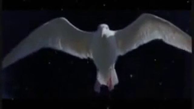 Скрытый смысл русских слов 1 смотреть онлайн