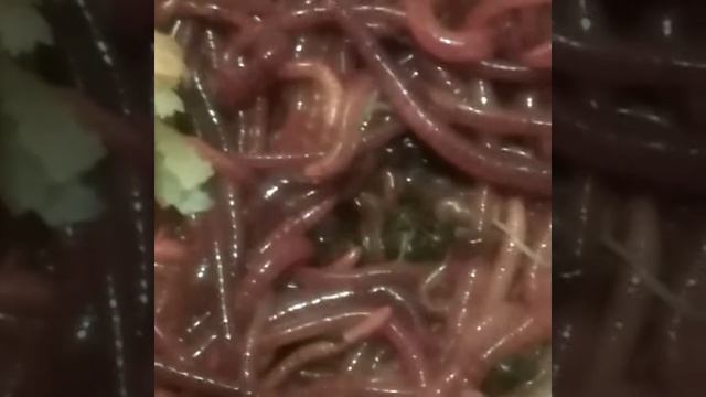 1000000 или как уменьшить мусор