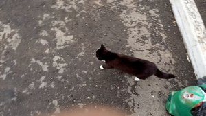 рославль 12 микрорайон красноармейская