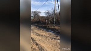 Село Киевка
