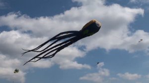 Scott Fisher talks about the giant Octopus Kite at the Go Fly A Kite Kite Festival