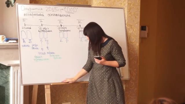 Открытие № 8.  Аппаратная оборона.
