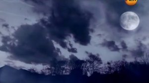 24  Икона Авеля 4 59 мин