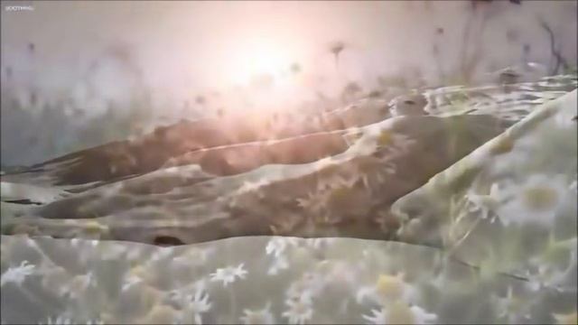 Любовь долготерпит /1 е Коринфянам 13 смотреть онлайн