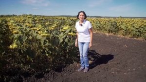 ЛИСТЕГО® ПРО — гербицид для гибридов подсолнечника производственной системы Clearfield® Plus