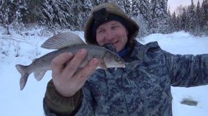 ХАРИУС НА ЛЕСНОЙ РЕЧКЕ \ ЖИЗНЬ В ТАЙГЕ \ ЧАСТЬ 1