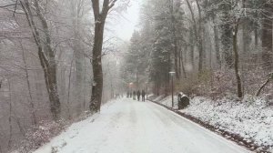 Heavy Snowfall in Uetliberg Zürich Switzerland | Winter Snowfall Walk in Switzerland 4K UHD