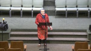 "Вечер был; сверкали звёзды" - Стих