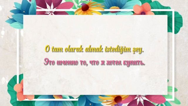 Что означает турецкое слово "ŞEY". Разбор с примерами #турецкийязык #турецкий #учимтурецкий