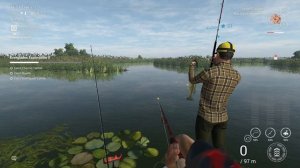 Fishing Planet - Everglades Exploration 2 | Updated
