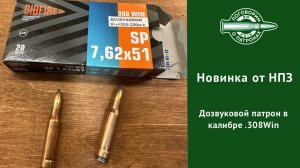 308НПЗ-Дозвук
