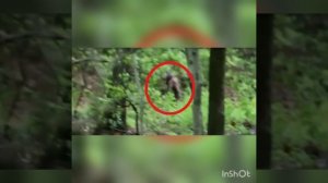 Реальные оборотни снятые на камеру.