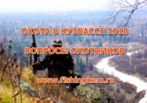 Охота в Кузбассе 2018. Вопросы охотников.