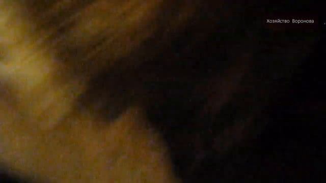 Куры несушки клюют яйца, тяжело дышат и хрипят. Как я лечу птицу и делаю профилактику смотреть онлайн