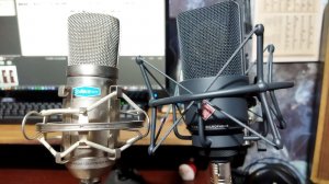 Neumann TLM103 vs Alctron MC001 (speech)