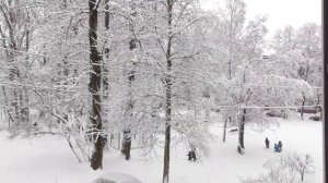 погода под Новый Год в Великом Новгороде 26 декабря 2020 года