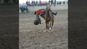 КОК БОРУ ОШ ДОСТУК КОМАНДАСЫ МАНАС НИЯЗОВ ОЗГОН 2017