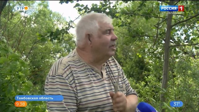 Во Владимирской области появились болотные черепахи смотреть онлайн