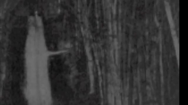 X150 Cedar Creek Test смотреть онлайн