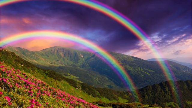 «Праздник каждый день», 1 июня смотреть онлайн