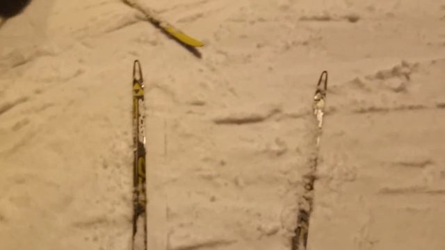 Снегопад, лыжня. Красотища!!!? смотреть онлайн