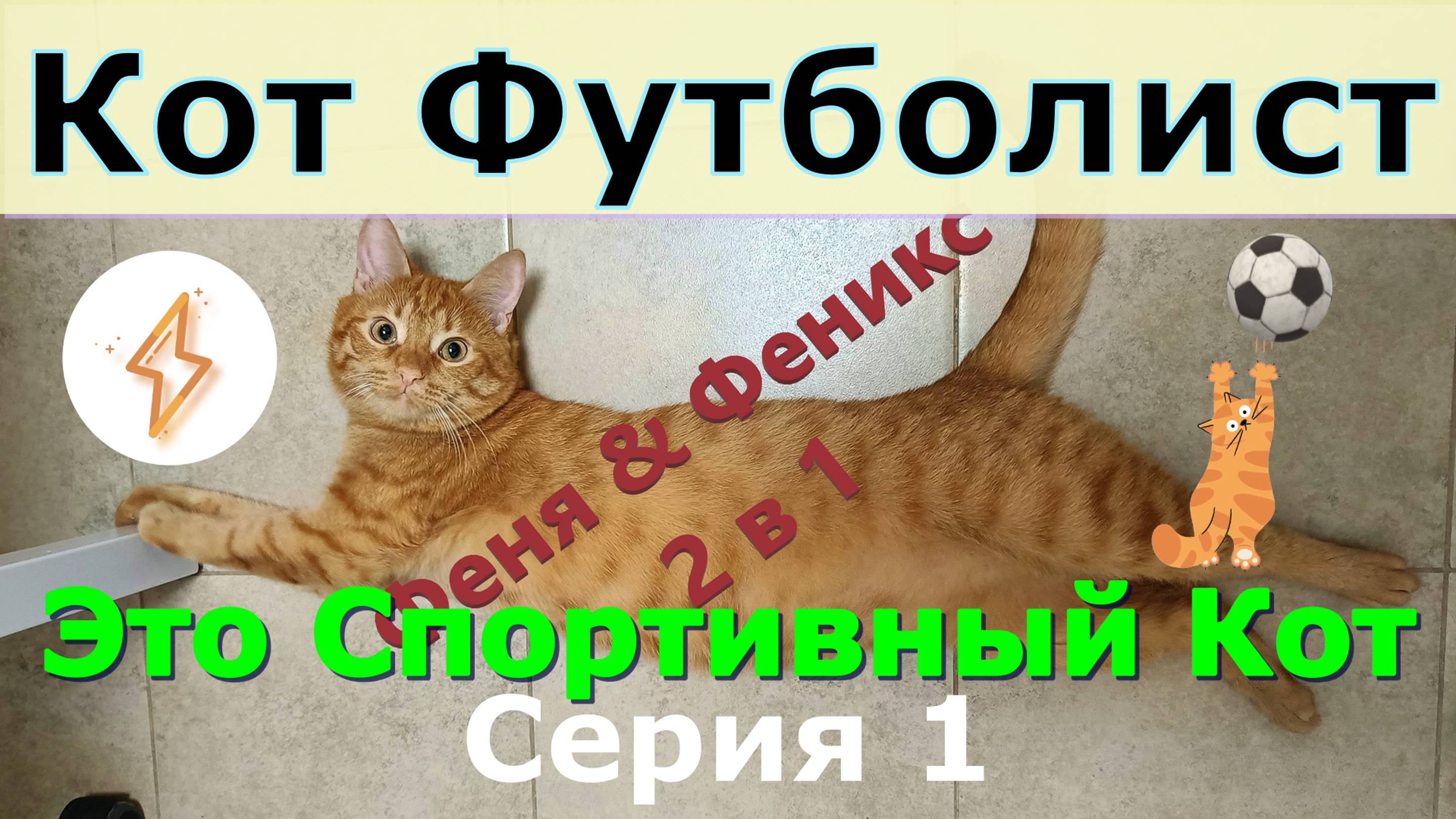 Кот Футболист. Это Спортивный Кот. Серия 1 Кот Феня, он же Феникс