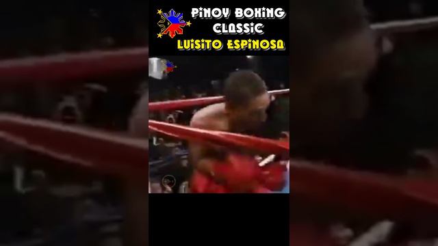 Rapid firepower punches | Luisito Espinosa #boxing