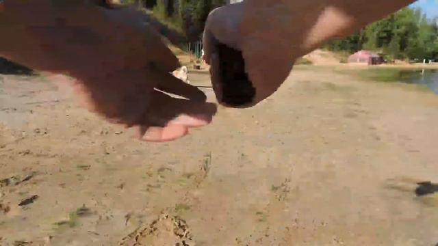 Собака напала на человека ! Вид от первого Лица Человека смотреть онлайн