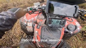 На квадроциклах по болотам