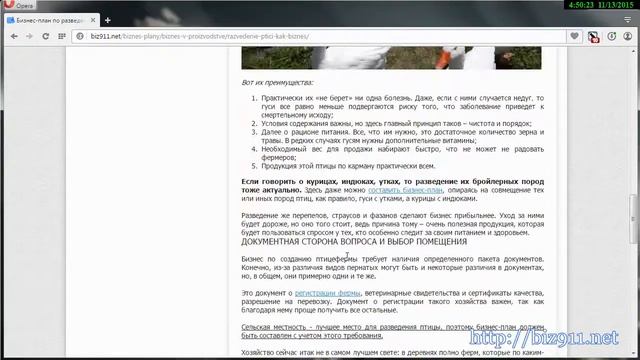 Бизнес план разведения птицы