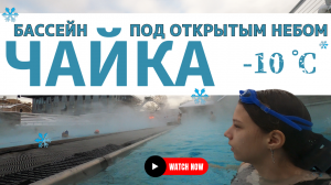 Чайка - бассейн под открытым небом ❄️ Самый теплый бассейн в Москве 👨👩👧 Куда пойти с ребенком