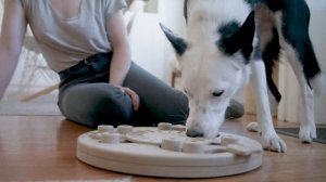 Интерактивная игрушка-головоломка для собак Nina Ottosson Dog Worker