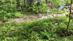 2022-04-30+ Весна и Лето группы D