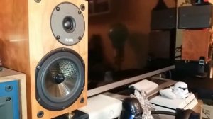 30週年紀念版proac 喇叭試音